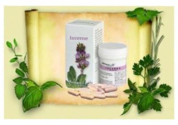 Luzerne - a Vitaltonikum that inhibits aging processes, 30 capsules