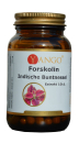 Indische Buntnessel, Forskolin, 90 Kapseln, für normalen Blutdruck, Stoffwechsel, Verdauung, Bronchien, für die Blase